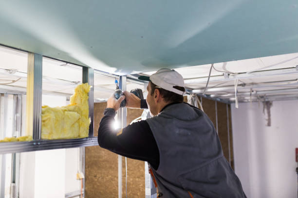 Best Insulation Removal  in Clintondale, NY