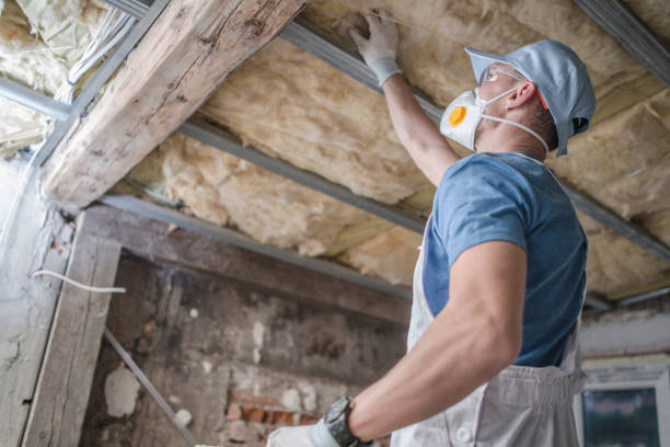 Best Insulation Replacement Services  in Clintondale, NY
