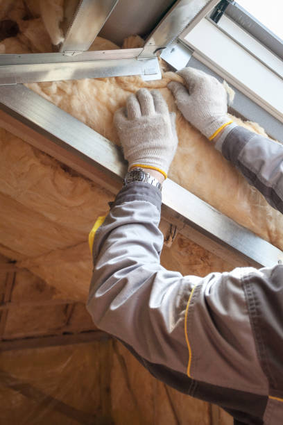 Best Fiberglass Insulation  in Clintondale, NY