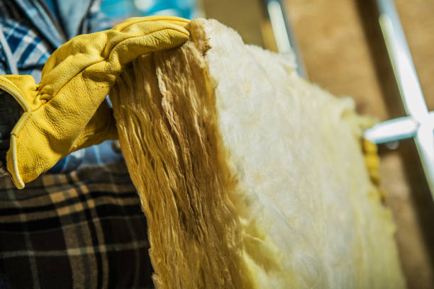 Best Home Insulation Services  in Clintondale, NY