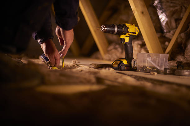 Best Insulation Removal  in Clintondale, NY